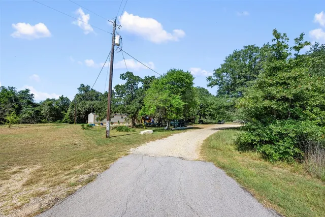 a view of a park with large trees