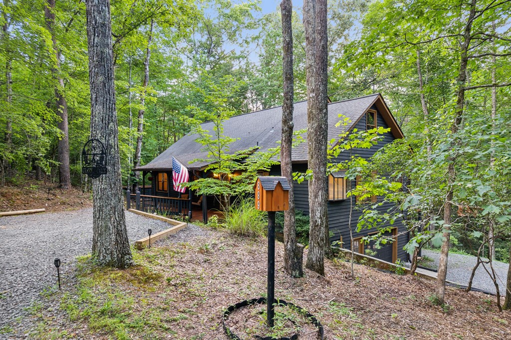 889 Granny Branch Drive Blue Ridge, GA 30513 - Photo 9 of 63 Gallery Image 9