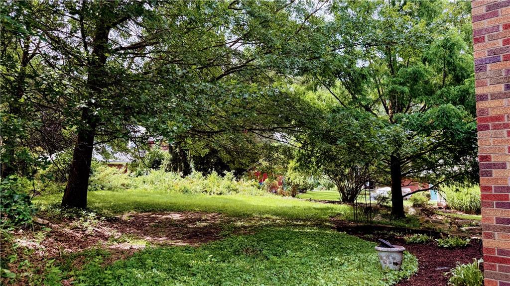 902 Delafield Road Pittsburgh, PA 15215 - Photo 19 of 23 a view of a trees with a yard