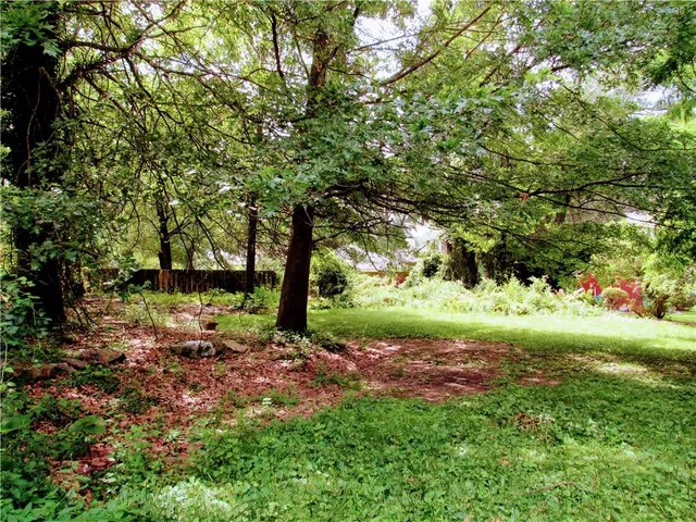 a view of a tree in front of a house
