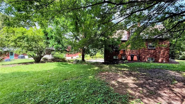 a view of a trees with a big yard