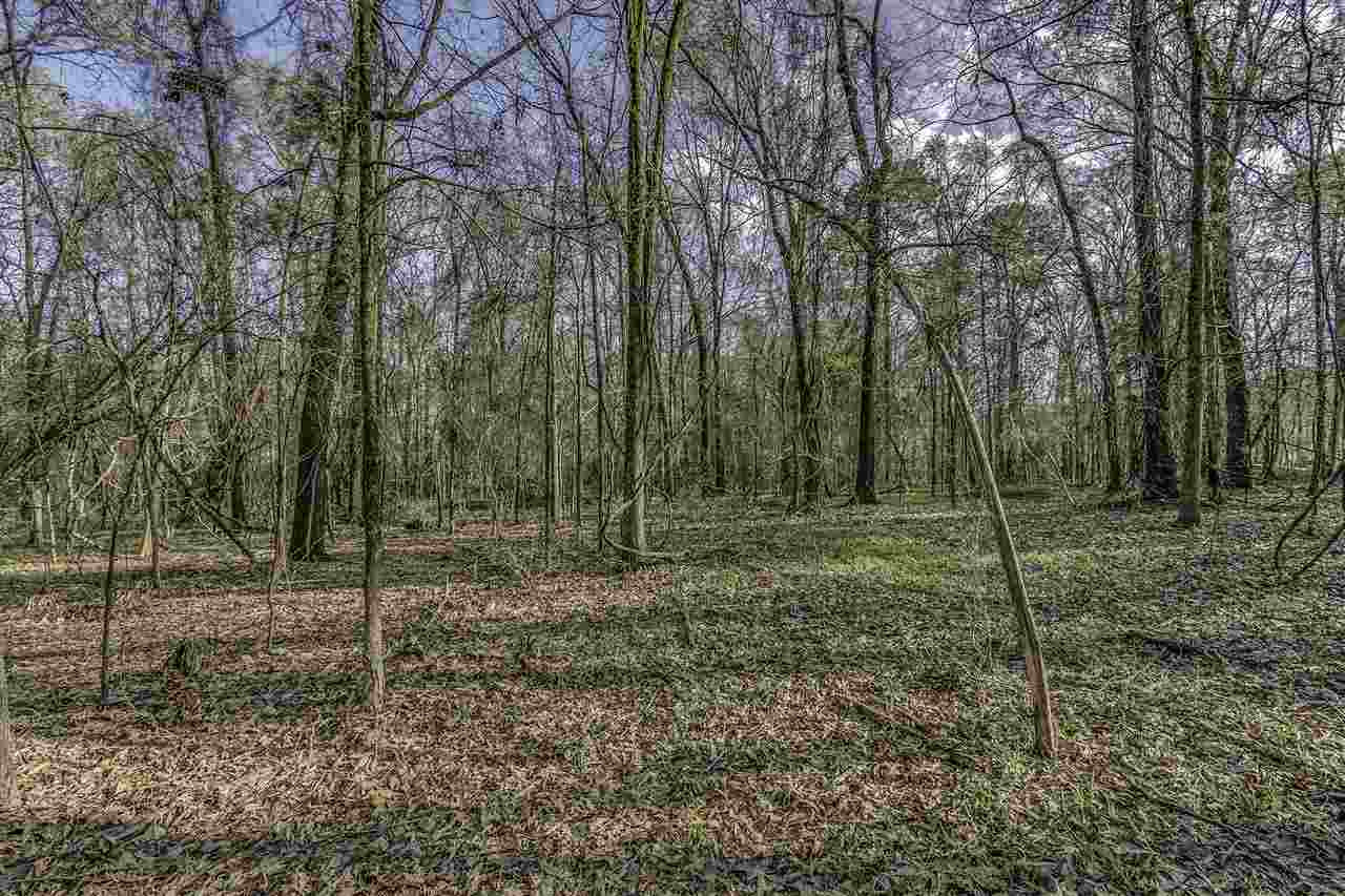 7586 Vaughan Road Vaughan, MS 39179 - Photo 21 of 37 Photo 24