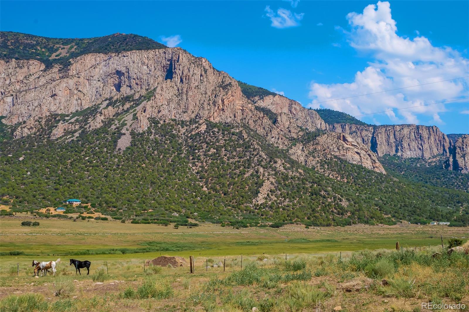 26101-246 16 1/10 Road Whitewater, CO 81527 - Photo 2 of 49 a view of a field with an ocean