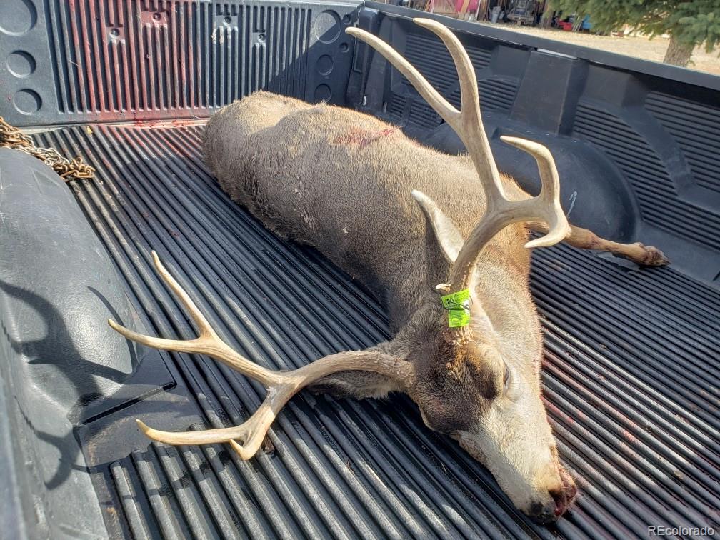 26101-246 16 1/10 Road Whitewater, CO 81527 - Photo 29 of 49 a view of a balcony with chairs