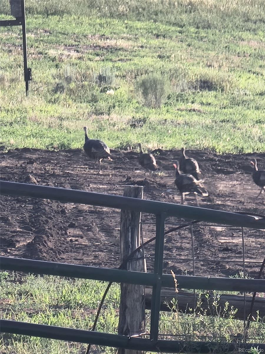 26101-246 16 1/10 Road Whitewater, CO 81527 - Photo 30 of 49 a view of a yard with an outdoor space