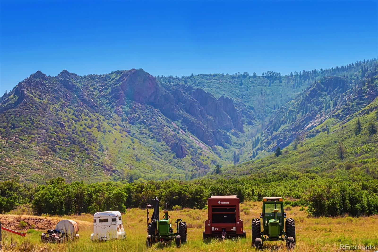 26101-246 16 1/10 Road Whitewater, CO 81527 - Photo 3 of 49