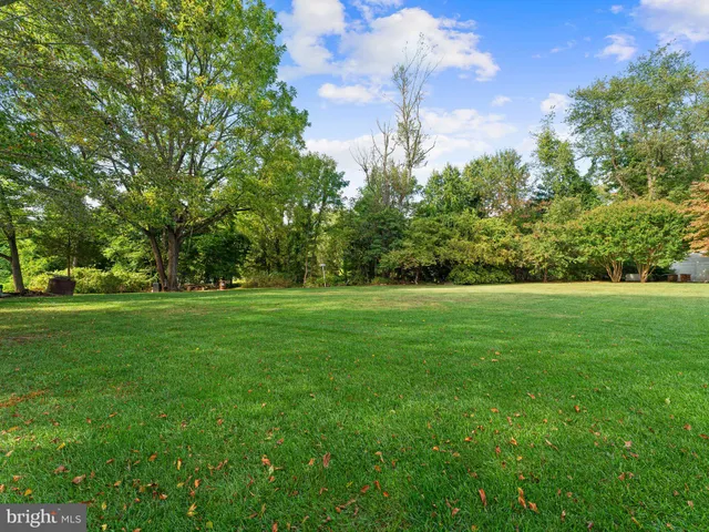 a view of grassy field with benches