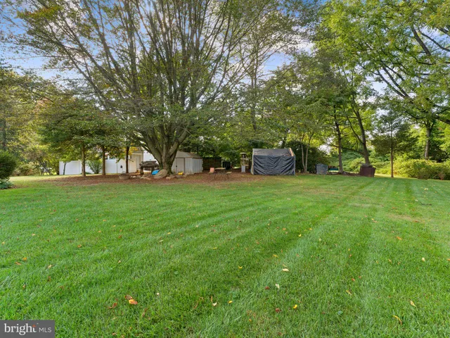 a view of a park with large trees