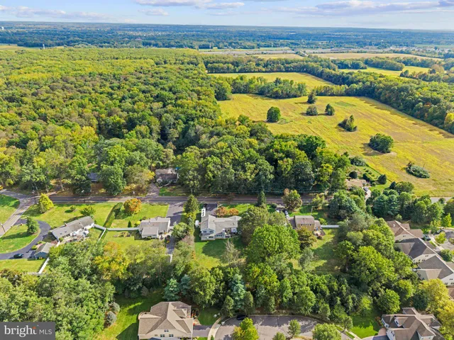 a view of a lake with a city view