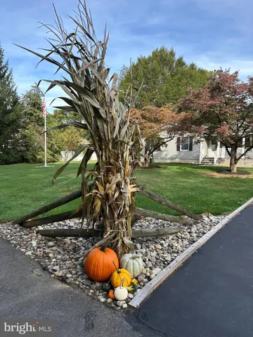 a view of a backyard with a garden and plants
