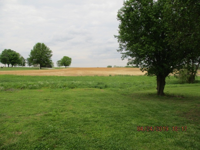230 Elementary School Road Halls, TN 38040 - Photo 3 of 15 Gallery Image 3