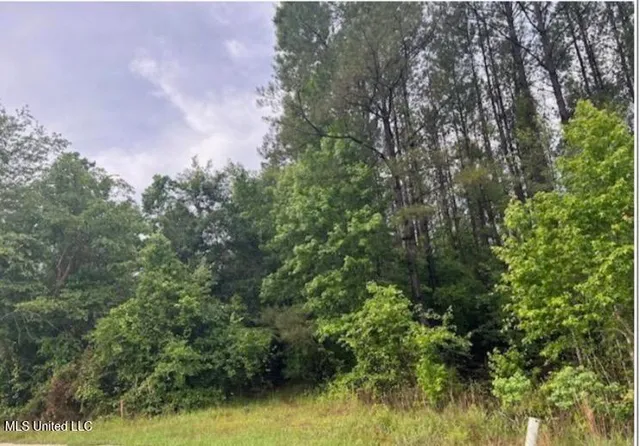 $110,000 | 301 Woods Road, McLain, MS 39456