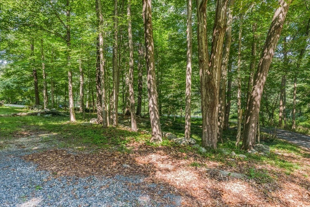 165 Summer Street Scituate, MA 02066 - Photo 19 of 22 a view of a forest with trees in the background