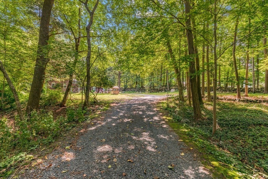 165 Summer Street Scituate, MA 02066 - Photo 20 of 22 a view of outdoor space with trees all around