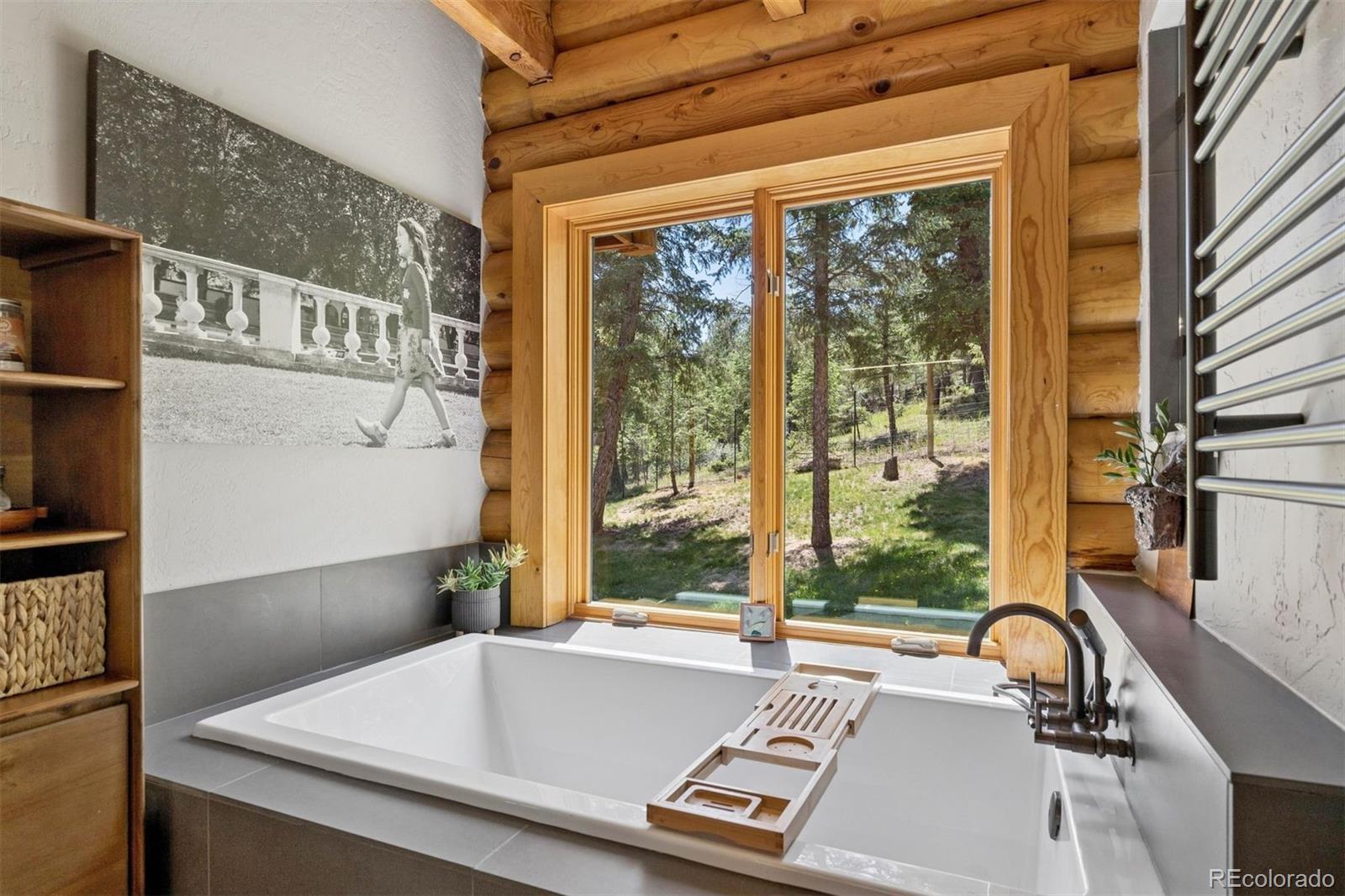 4620 Forest Hill Road Evergreen, CO 80439 - Photo 18 of 49