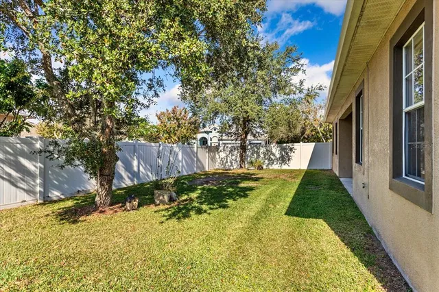 a view of backyard of house