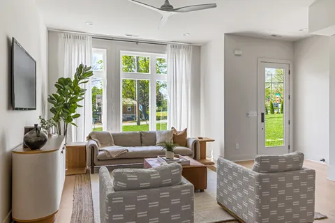 a living room with furniture and a potted plant