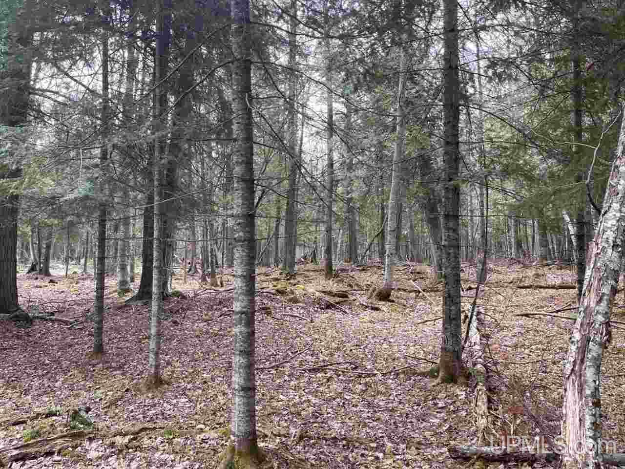 Tbd Point Abbaye Road Lanse, MI 49946 - Photo 13 of 14