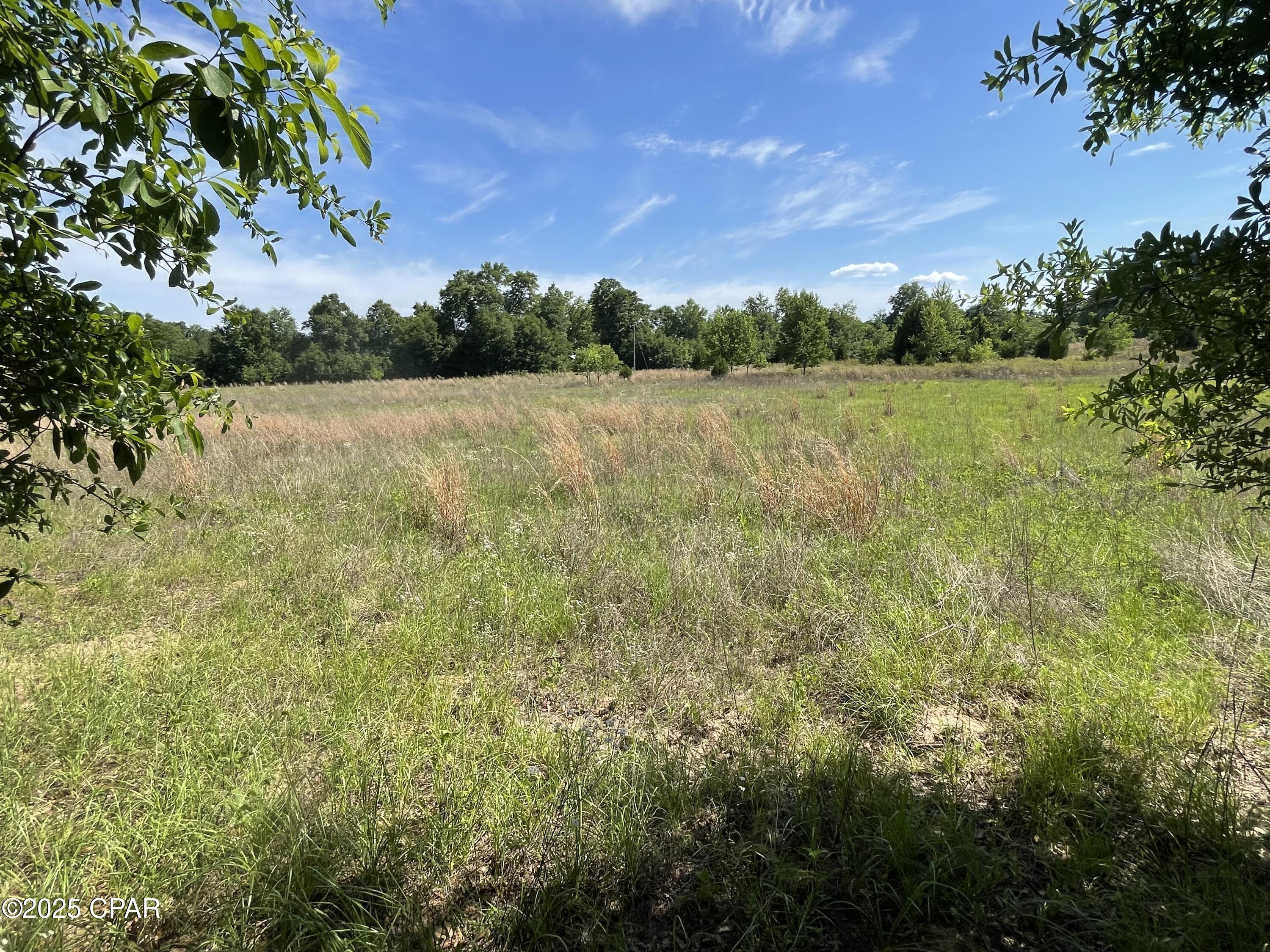0 Blue Springs Road Greenwood, FL 32443 - Photo 10 of 15