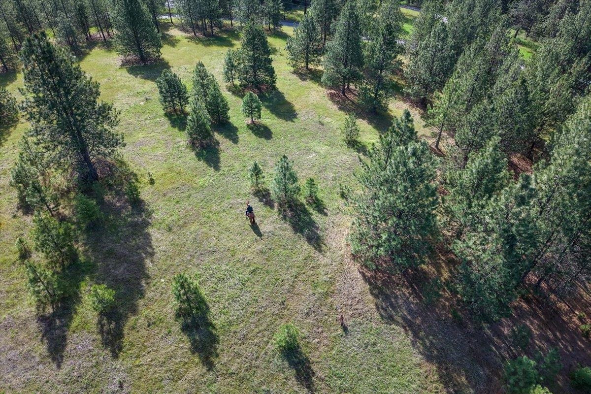 Tbd East Belmont Road Mica, WA 99023 - Photo 27 of 27