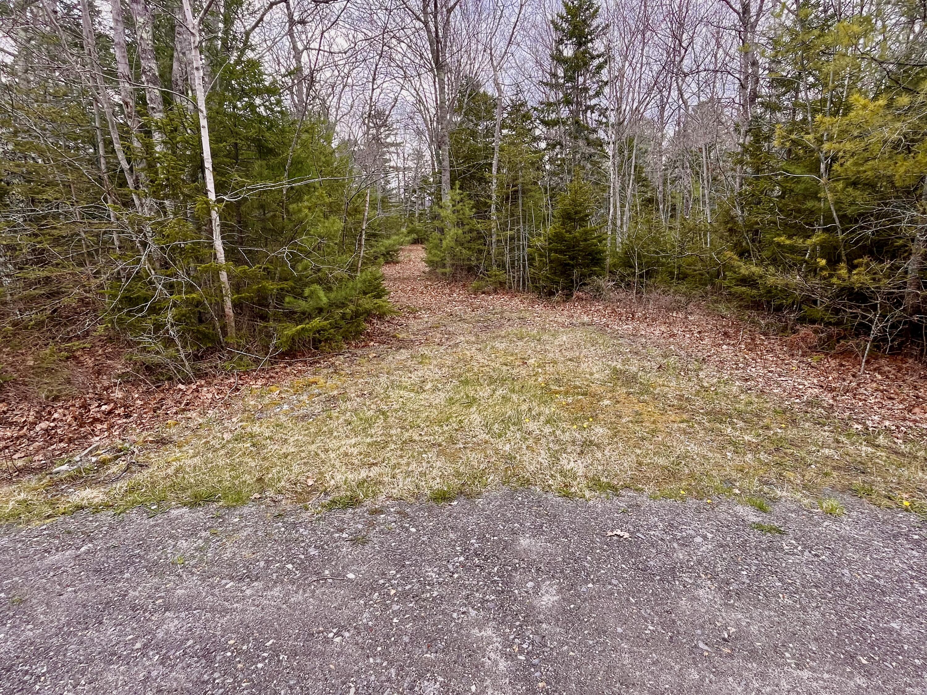 92 L Russel Road Chamberlain, ME 04541 - Photo 3 of 21