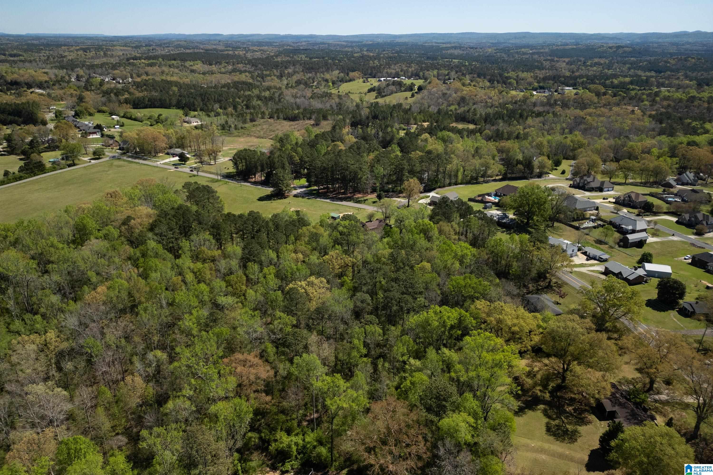1044 Morris Majestic Road Morris, AL 35116 - Photo 13 of 13