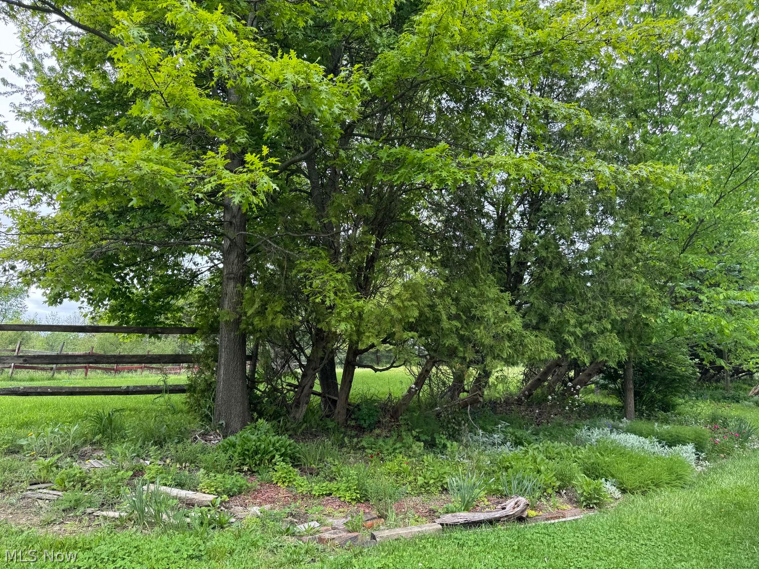 7950 Coon Club Road Medina, OH 44256 - Photo 27 of 29