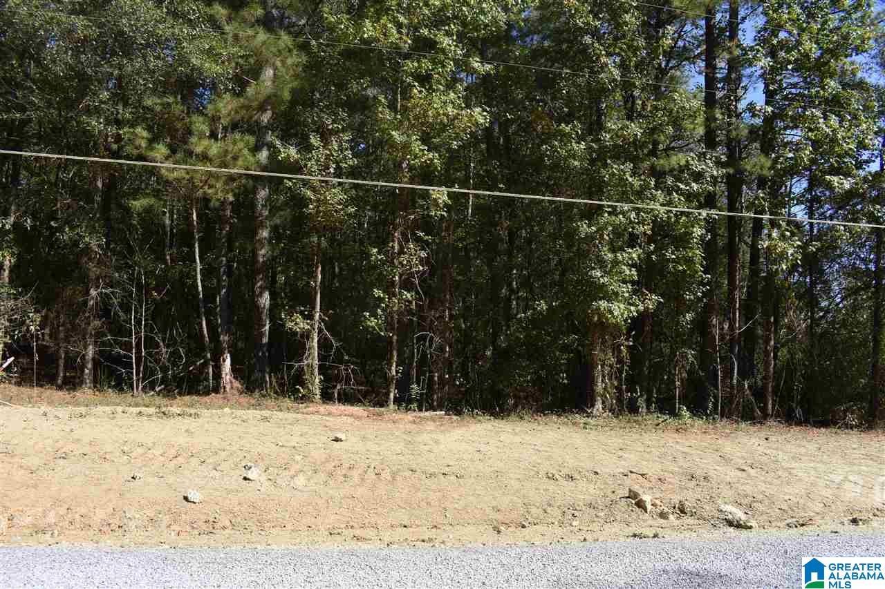 13933 B T Short Cutoff Road Vance, AL 35490 - Photo 28 of 30
