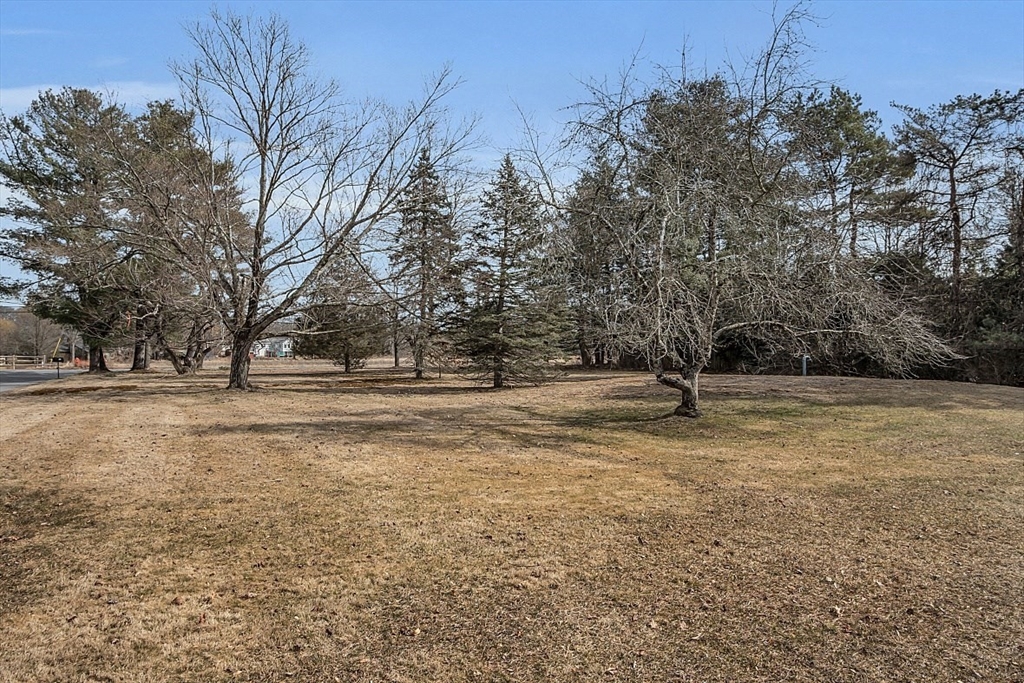29 Meriam Road Concord, MA 01742 - Photo 7 of 24 a view of outdoor space with trees