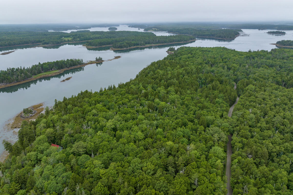 Lot 27 Coffins Neck Road Lubec, ME 04652 - Photo 10 of 27 26-Lot 27 Coffins Neck Road LoRes-DTP
