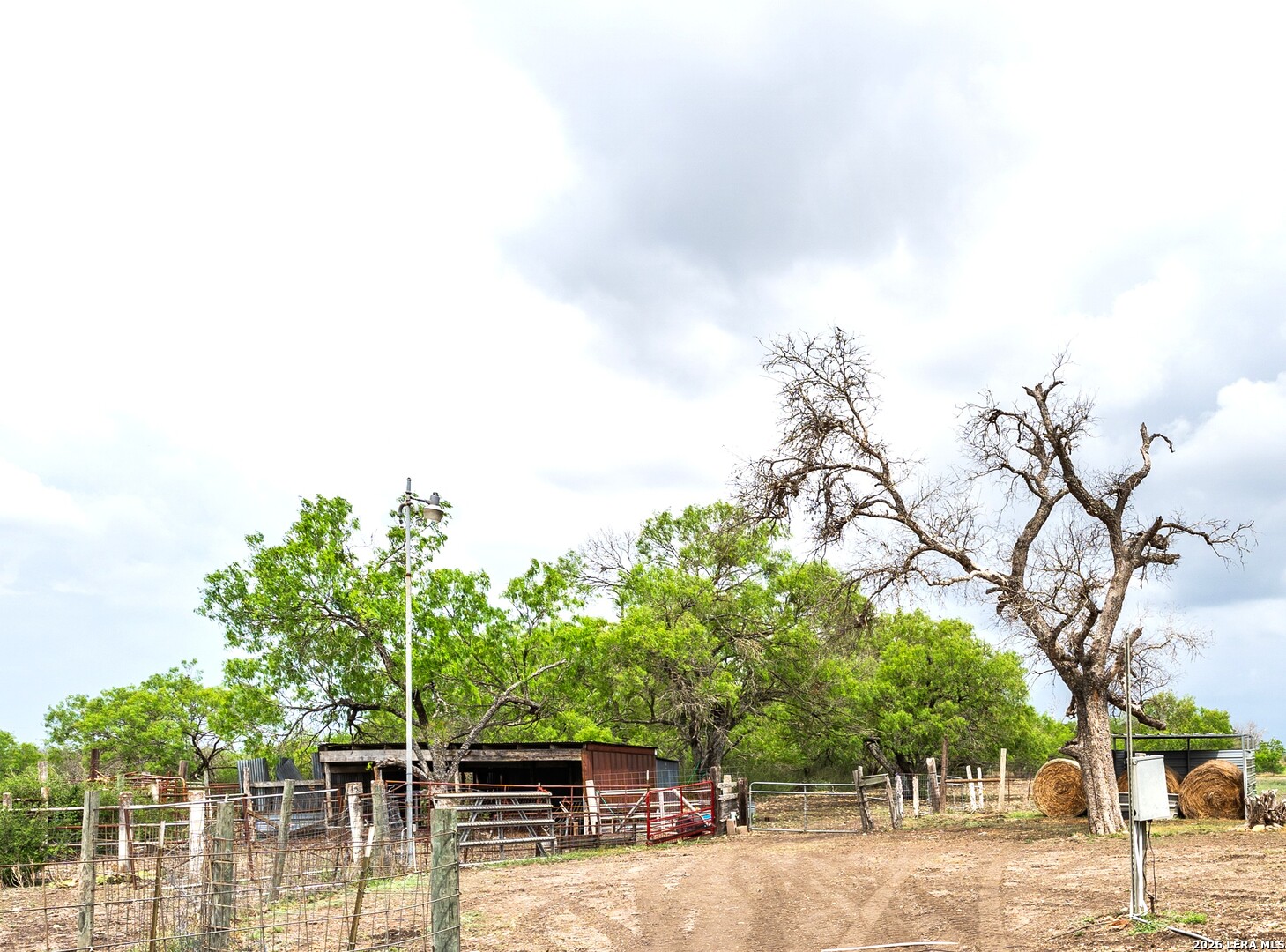 4515 Stapper Road St. Hedwig, TX 78152 - Photo 51 of 60