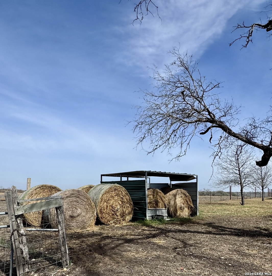 4515 Stapper Road St. Hedwig, TX 78152 - Photo 53 of 60