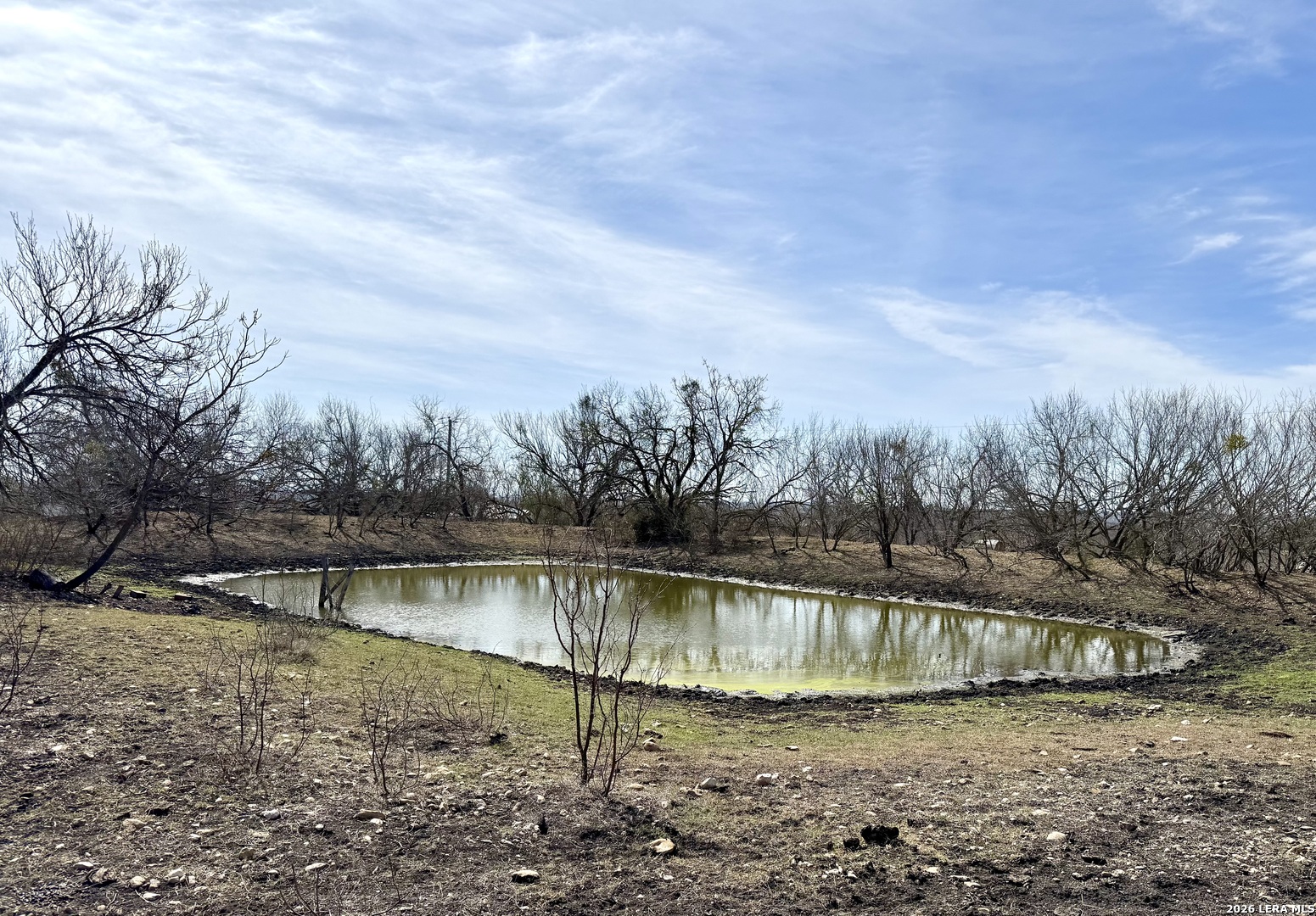 4515 Stapper Road St. Hedwig, TX 78152 - Photo 55 of 60