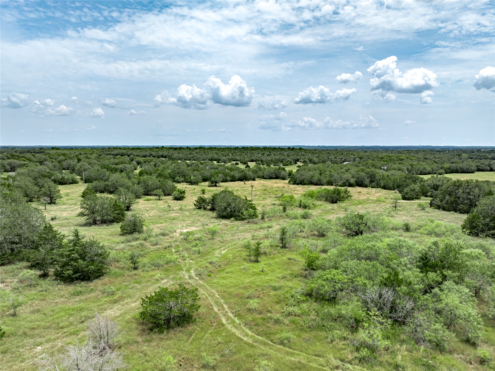 1345 Davis Road Muldoon, TX 78949 - Photo 21 of 25 a view of a bunch of trees in background