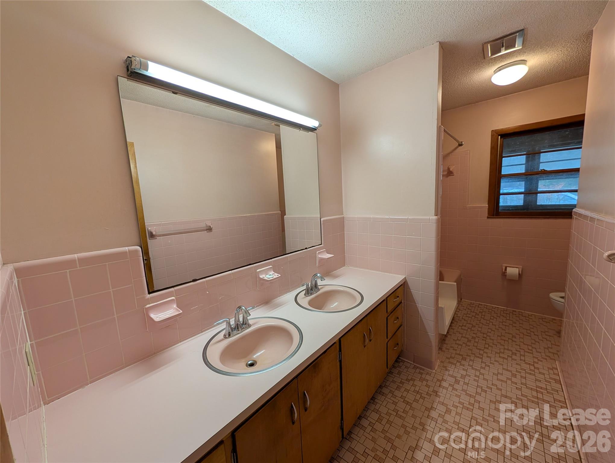 805 Edgewood Road Bessemer City, NC 28016 - Photo 12 of 19 a bathroom with a sink and a mirror