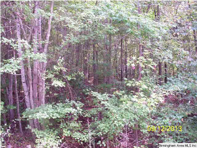 78 Highway 78, Unit 85 Fruithurst, AL 36262 - Photo 6 of 11