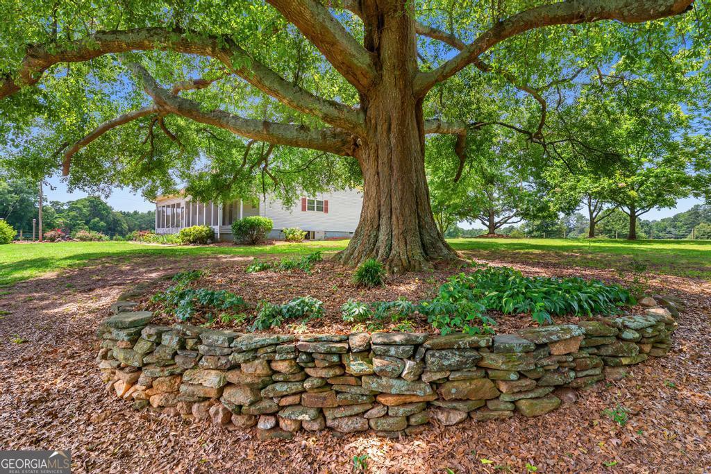 481 North Fairview Road Lavonia, GA 30553 - Photo 41 of 59