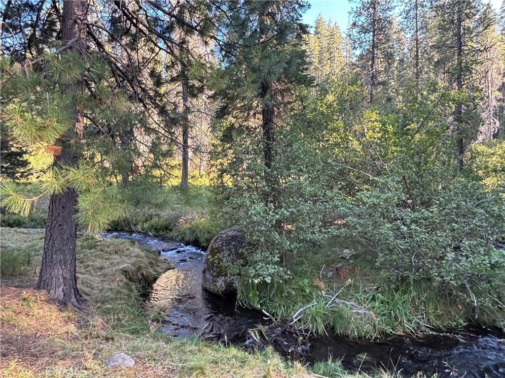 9478 Jones Creek Road, Unit 14 Forest Ranch, CA 95942 - Photo 2 of 35 a view of a forest with trees