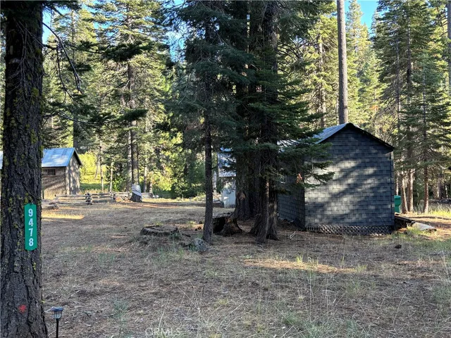 a big yard with lots of green space and plants