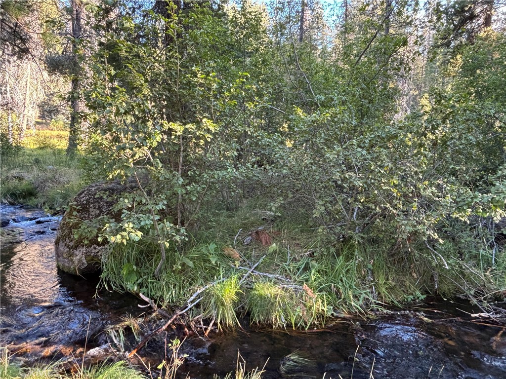 9478 Jones Creek Road, Unit 14 Forest Ranch, CA 95942 - Photo 35 of 35 a view of a lush green forest next to a building