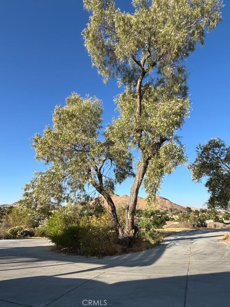 15492 Lenca Road Apple Valley, CA 92307 - Photo 2 of 2
