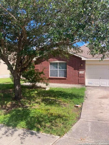 a backyard of a house with plants and large tree