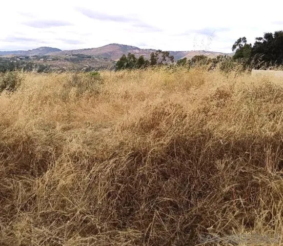 $10,000 | 0 Artesian Road, San Diego, CA 92127