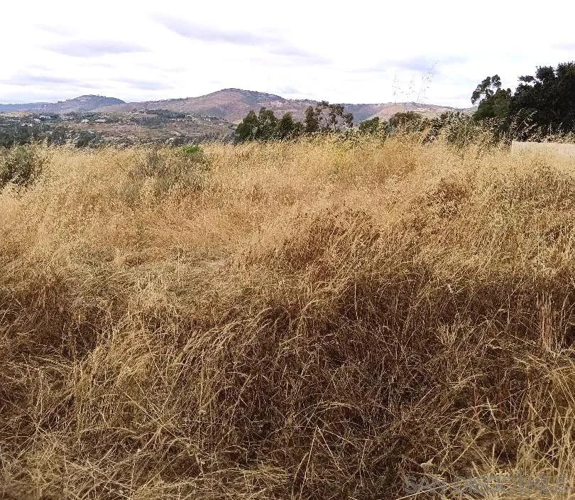 0 Artesian Road San Diego, CA 92127 - Photo 6 of 6 a view of lake and mountain