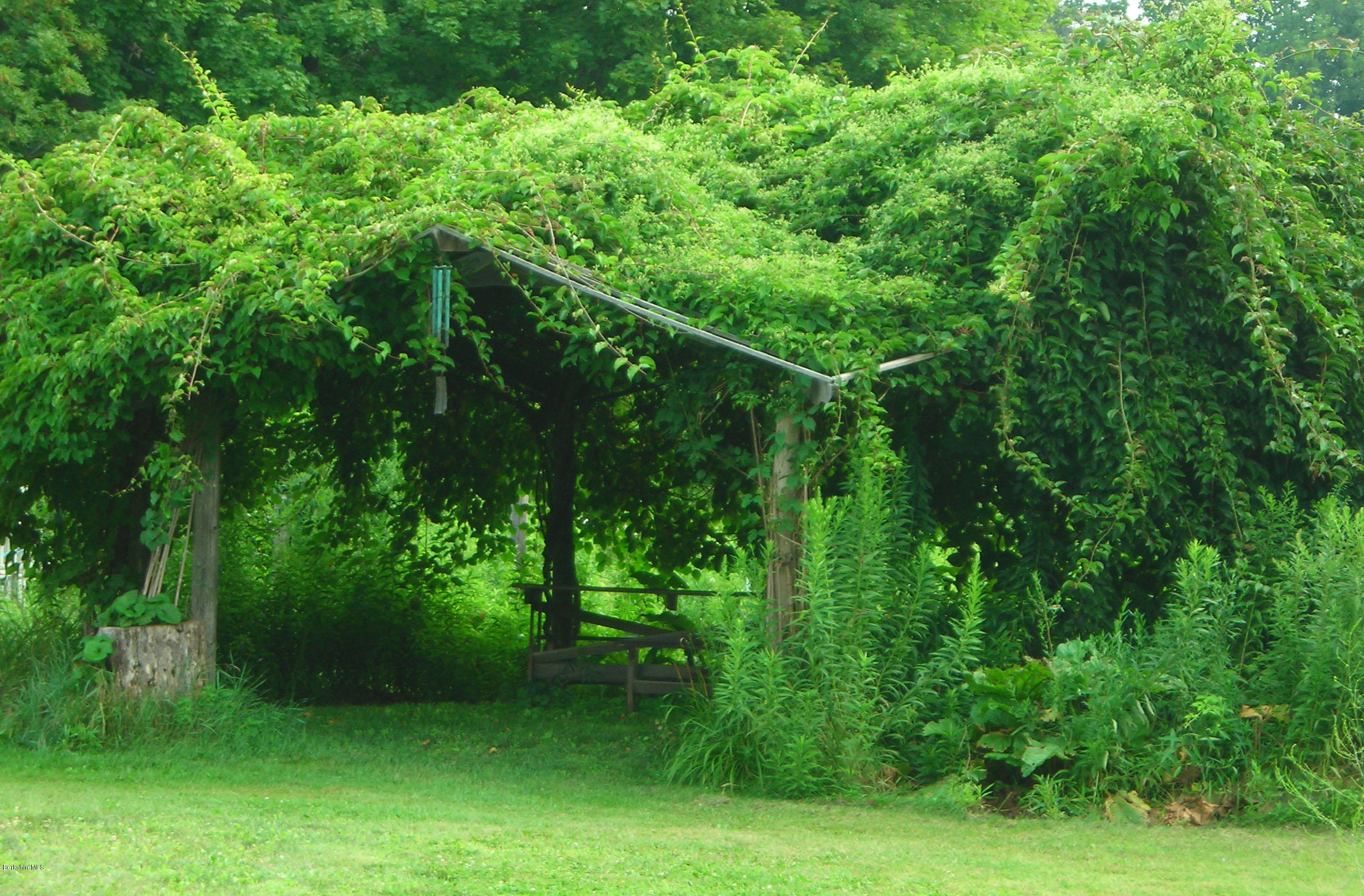 945 State Road Richmond, MA 01254 - Photo 30 of 32 a view of a lush green forest