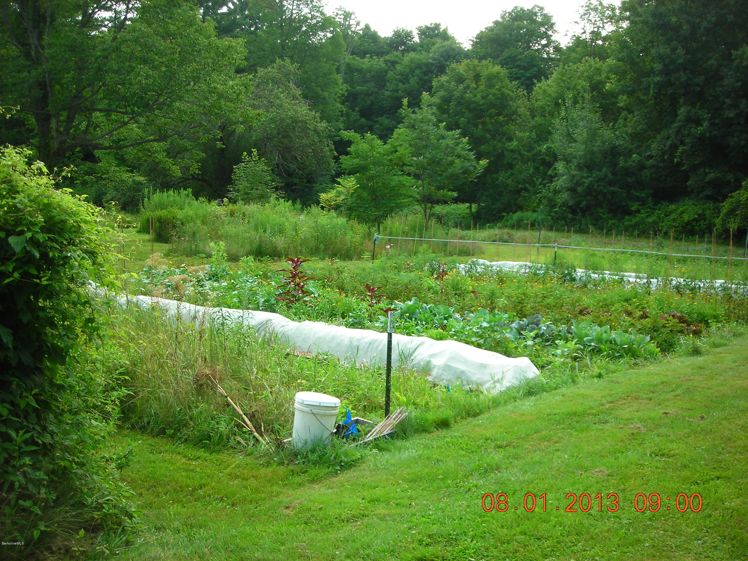 945 State Road Richmond, MA 01254 - Photo 31 of 32 a view of a garden with a building in the background