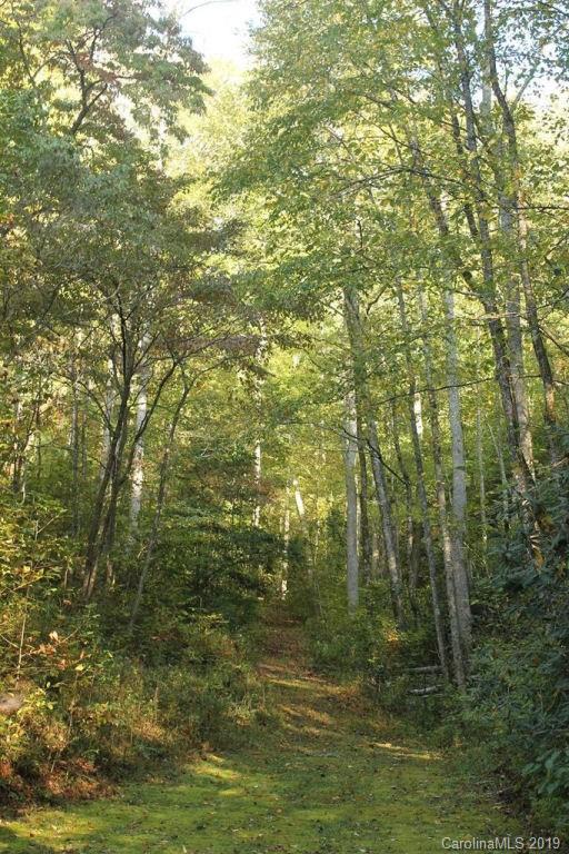 444 Hickory Cove Road Bryson City, NC 28713 - Photo 23 of 42 Gallery Image 23