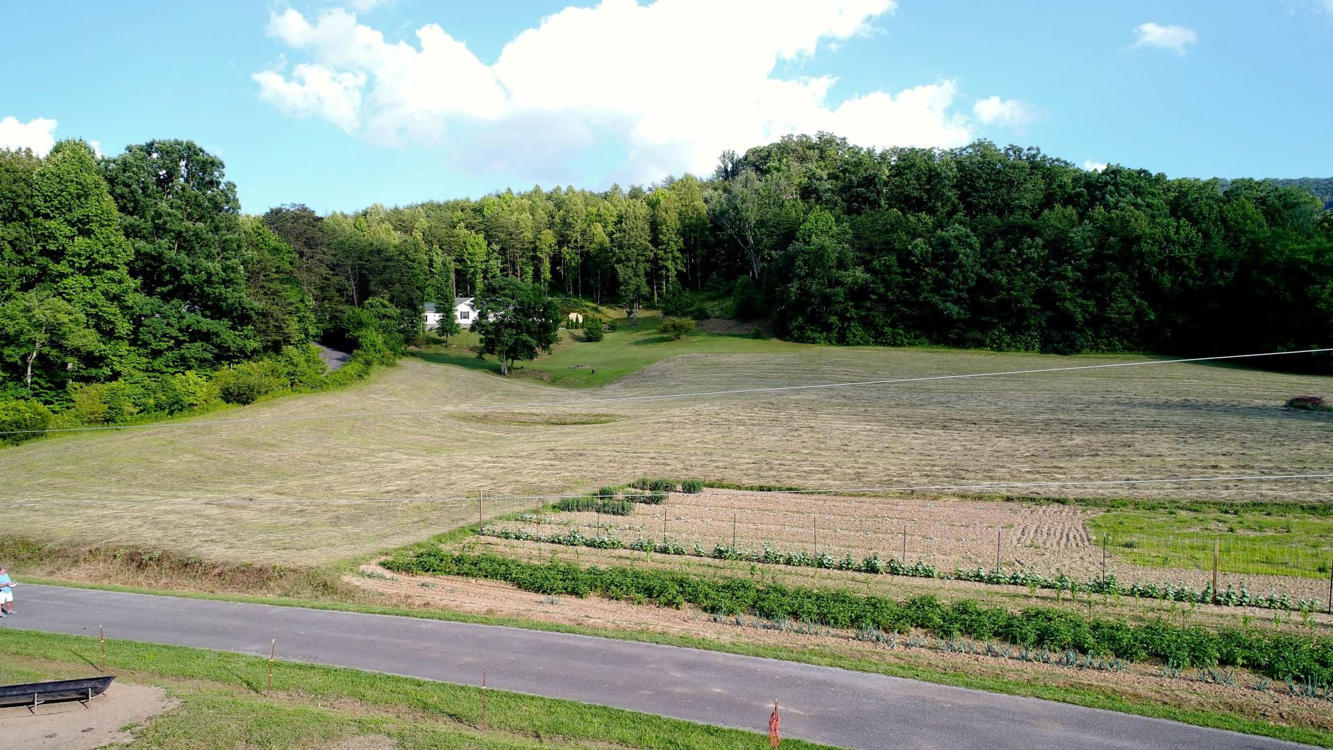 1.12-acres Trentham Road Newport, TN 37821 - Photo 1 of 19 DJI_0014