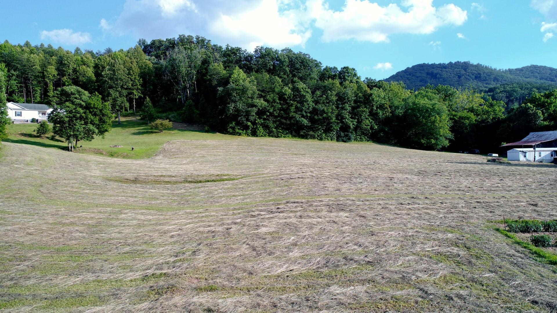 1.12-acres Trentham Road Newport, TN 37821 - Photo 3 of 19 DJI_0001