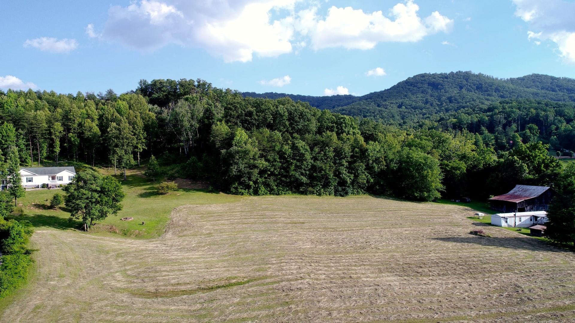 1.12-acres Trentham Road Newport, TN 37821 - Photo 4 of 19 DJI_0003